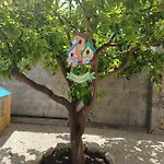 Ventuno فندق مبيت وإفطار 3*